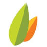 Eczanes Pharmaceuticals Pty Ltd