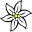 EDELWEISS BEAUTY