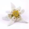 Edelweiss Day Spa Thredbo