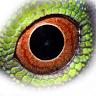 Edisto Island Serpentarium