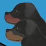 Egilson`s rottweiler kennel