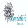 Eguzkilore ikuztegia 2013-tik Lavandería