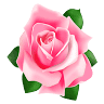Toko Bunga ekspresi florist 9 tlp/wa:08174828218/081212037998.