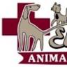 El Dorado Animal Hospital