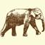 Elephant Hills Australia PTY LTD