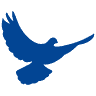 Elim Christian Ministry Church