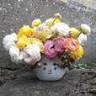 Elisabeth's Blomster