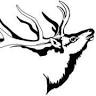 Elk Contracting Roofing and Exterior Solutions