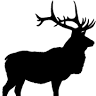 Elk Mountain Contracting