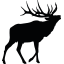 Elk Mountain Inn