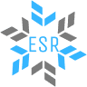 Ellerman Snow Removal
