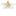 Randy K. Ellis, DDS, MS