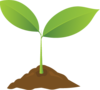 Elmore Compost & Organics
