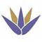 Elyssium Advanced Skin Care