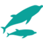 Endo Dental Clinic