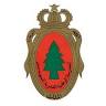 National forestry School of engineers