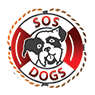 Offenes Tierheim Oradea - SOS Dogs Oradea
