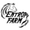 Entropy Farm - Rachel A Kane DVM