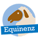 Equinenz