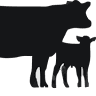 Ericson Spalding Livestock Market