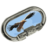 AAEE