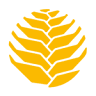 IEPAN