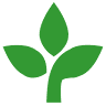 Evergreen Counseling and Psychological Associates, LLC
