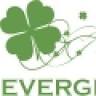 EVERGREEN DOO PJ BIJELJINA