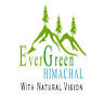 Evergreen Himachal Tour Travel