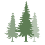 Evergreen Tax Services & Accounting