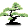 Eve's Garden, Inc