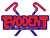 Evodent PDR - Straighten dents in car