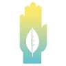 Evolution Health