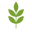 Evoolution