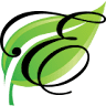 Executive Green Carpet Cleaning