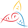 Exotic Fishing Thailand Co ltd