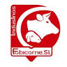Fabicarne