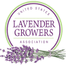 Fairlamb Lavender Farm