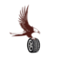 Falco Pneus Srl sede San Rufo