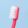 Fallon & Fallon Family Dentistry
