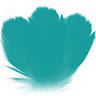 Family Law Matters