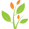 Family Produce & Food Sevices