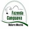 Fazenda Canguava