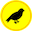 Feed the Birds!