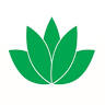 Fei Oriental Therapy Chinese Massage