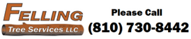 Felling Tree Services LLC