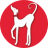 Fellowship of the Paws Dog Training