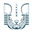 Festoni