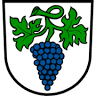 Voluntary firefighters Weingarten (Baden)