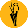 FFD | Documentary Film Festival